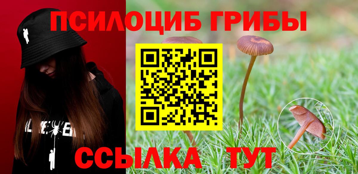 Галлюциногенные грибы мухоморы  Вход с VPN  закладки  Алушта 